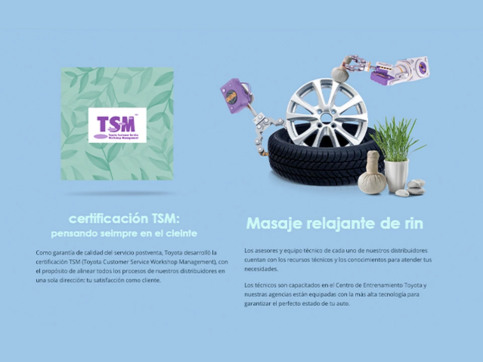 TOYOTA SPA. Certifacón TSM, masaje relajante de rin.