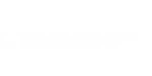 Citibanamex Logo